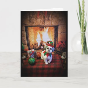 CARTES POUR FÊTES ANNUELLES JOYEUX NOËL COSY/CHALEUREUX / HEUREUX NOUVEL AN