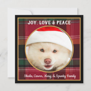 Cartes Pour Fêtes Annuelles Joyeux Noël d'amour de la joie