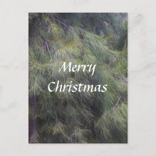 Cartes Pour Fêtes Annuelles Joyeux Noël dans les pins