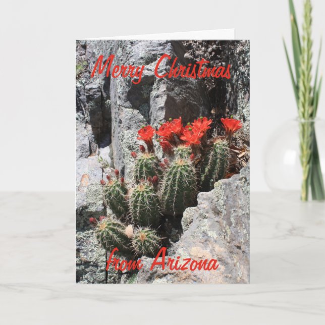 Cartes Pour Fêtes Annuelles Joyeux Noël d'Arizona (Devant)