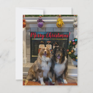 Cartes Pour Fêtes Annuelles Joyeux Noël d'Aussies