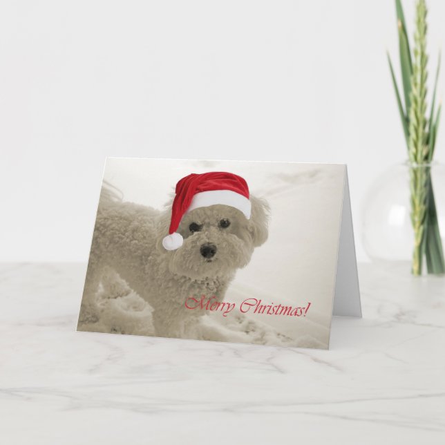 Cartes Pour Fêtes Annuelles Joyeux Noël de Bichon (Devant)