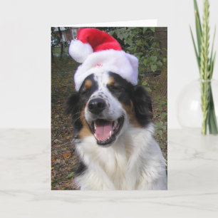 Cartes Pour Fêtes Annuelles Joyeux Noël de Bryn