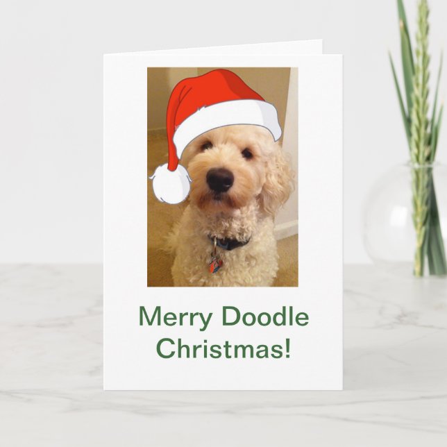 Cartes Pour Fêtes Annuelles Joyeux Noël de Doodle ! (Devant)