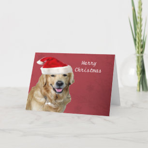 Cartes Pour Fêtes Annuelles Joyeux Noël de golden retriever