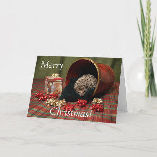 Cartes Pour Fêtes Annuelles Joyeux Noël de hérisson