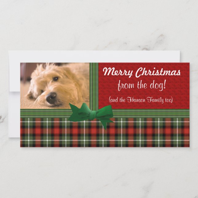 Cartes Pour Fêtes Annuelles Joyeux Noël de la coutume de chien (Devant)