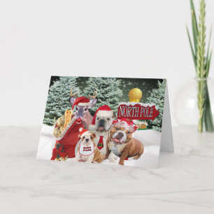 Cartes Pour Fêtes Annuelles Joyeux Noël de la famille Père Noël