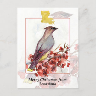 Cartes Pour Fêtes Annuelles Joyeux Noël de Louisiana Cedar Waxwing Bird