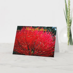 Cartes Pour Fêtes Annuelles Joyeux Noël de Nouvelle Zélande