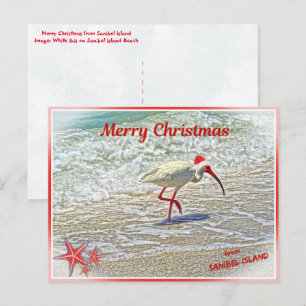 Cartes Pour Fêtes Annuelles Joyeux Noël de Sanibel Island FL White Ibis