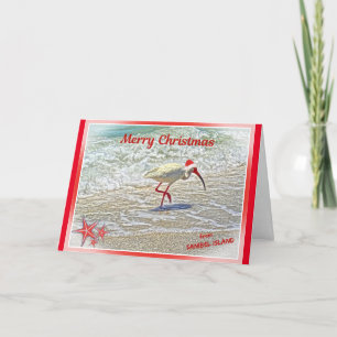 Cartes Pour Fêtes Annuelles Joyeux Noël de Sanibel Island FL White Ibis