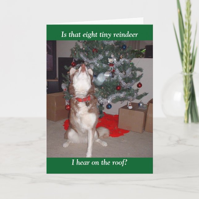 Cartes Pour Fêtes Annuelles Joyeux Noël de Skye (Devant)