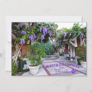 Cartes Pour Fêtes Annuelles Joyeux Noël de Sunny Florida Purple Flowers
