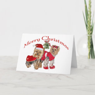 Cartes Pour Fêtes Annuelles Joyeux Noël de Yorkie deux