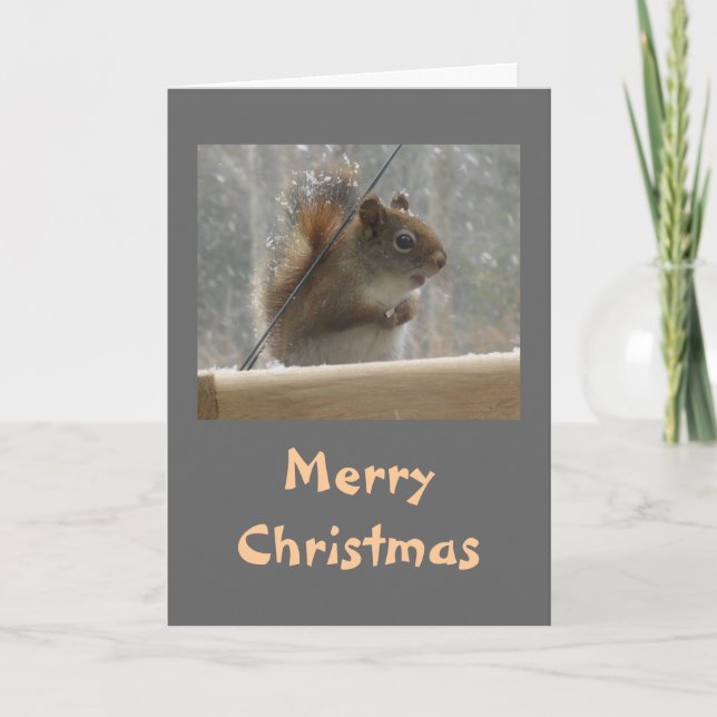 Cartes Pour Fêtes Annuelles Joyeux Noël d'écureuil (Devant)