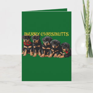 Cartes Pour Fêtes Annuelles Joyeux Noël des Chrismutts Fête de Vacances Chiots