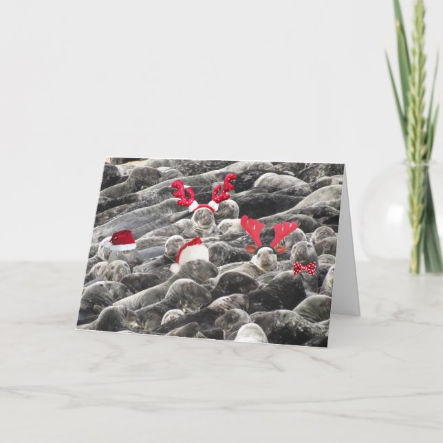 Cartes Pour Fêtes Annuelles Joyeux Noël des phoques (Devant)