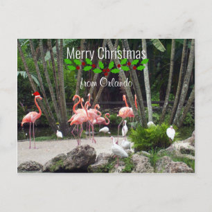 Cartes Pour Fêtes Annuelles Joyeux Noël d'Orlando - Flamants roses roses