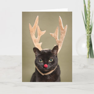 Cartes Pour Fêtes Annuelles Joyeux Noël drôle Chat en Reindeer Antlers