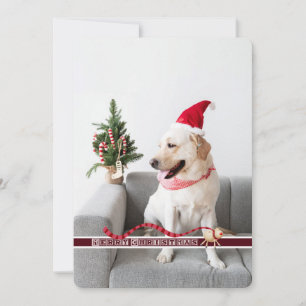 Cartes Pour Fêtes Annuelles Joyeux Noël du chien personnalisable
