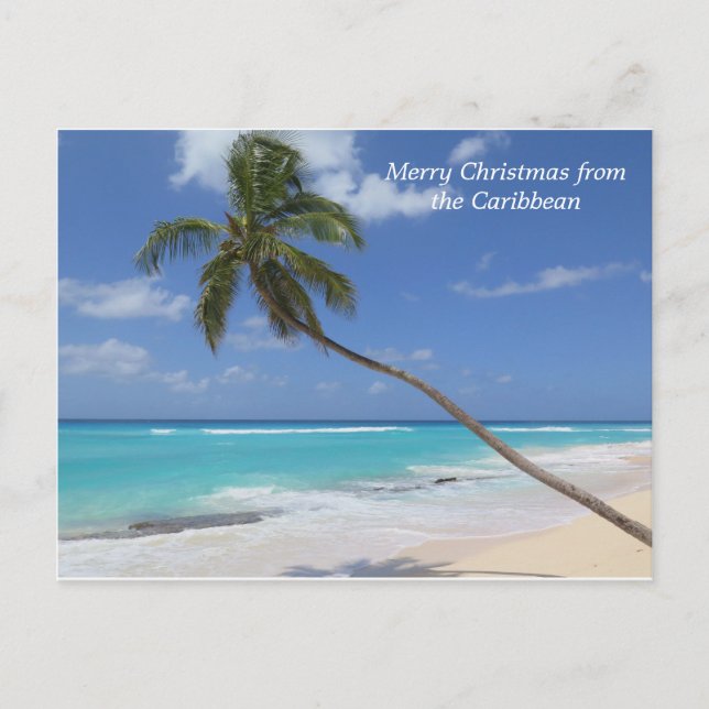 Cartes Pour Fêtes Annuelles Joyeux Noël du palmier des Caraïbes (Devant)