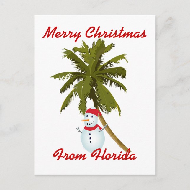 Cartes Pour Fêtes Annuelles Joyeux Noël Floride (Devant)
