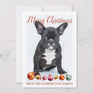 Cartes Pour Fêtes Annuelles Joyeux Noël Français Chien de taule