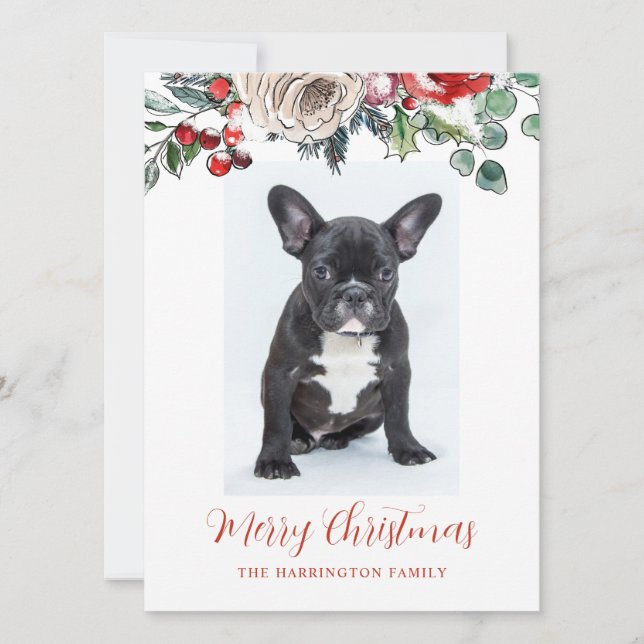 Cartes Pour Fêtes Annuelles Joyeux Noël Français Chien de taule (Devant)