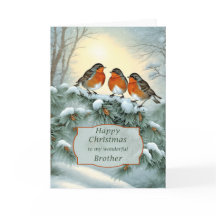 Joyeux Noël frère Robins