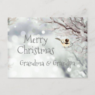 Cartes Pour Fêtes Annuelles Joyeux Noël Frost Oiseau