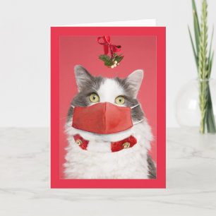 Cartes Pour Fêtes Annuelles Joyeux Noël Gui Chat au Masque Visage Humour
