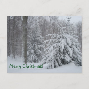 Cartes Pour Fêtes Annuelles Joyeux Noël hiver scène