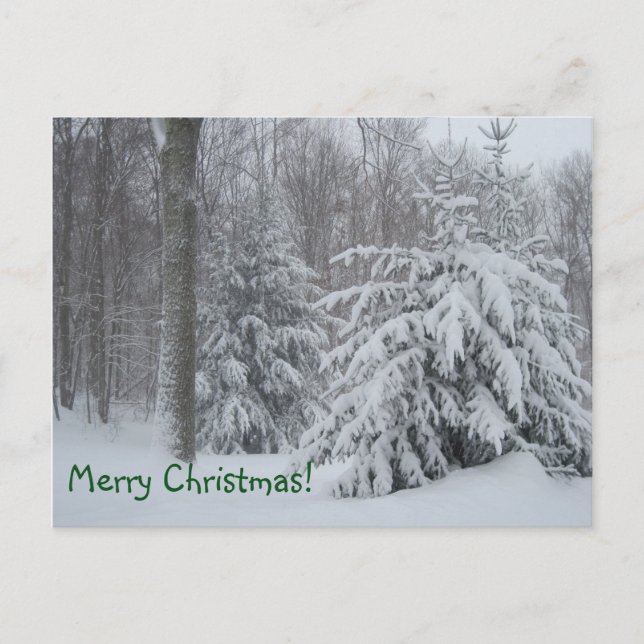 Cartes Pour Fêtes Annuelles Joyeux Noël hiver scène (Devant)