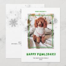Joyeux Noël Joyeux Joyeux PAWlidays Photo pour ani