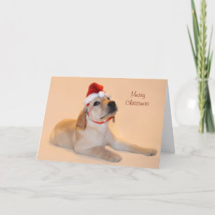 Cartes Pour Fêtes Annuelles Joyeux Noël - Laboratoire Jaune