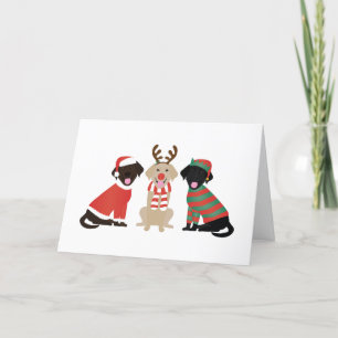 Cartes Pour Fêtes Annuelles Joyeux Noël Labrador Retriever Dogs