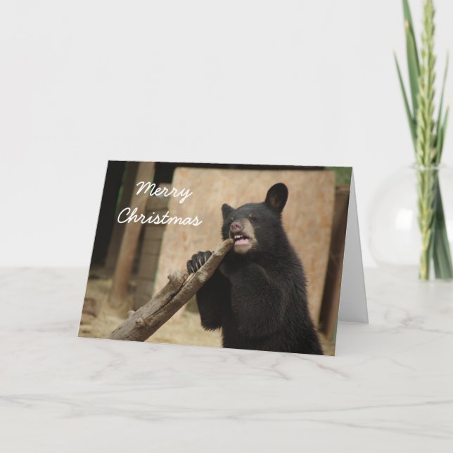 Cartes Pour Fêtes Annuelles Joyeux Noël - Lanikai (Devant)