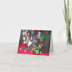 Cartes Pour Fêtes Annuelles "Joyeux Noël Meowy !"