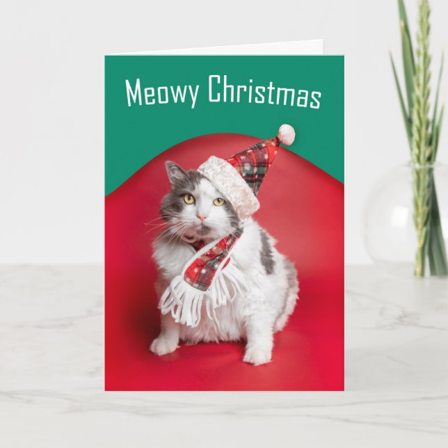 Cartes Pour Fêtes Annuelles Joyeux Noël mignonne Chat en Casquette de vacances (Devant)