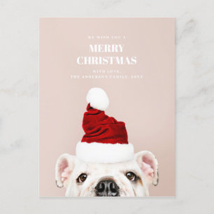 Cartes Pour Fêtes Annuelles Joyeux Noël. Mignonne chien. Père Noël animal