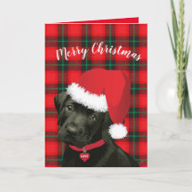 Joyeux Noël mignonne chiot avec Santa Hat Love