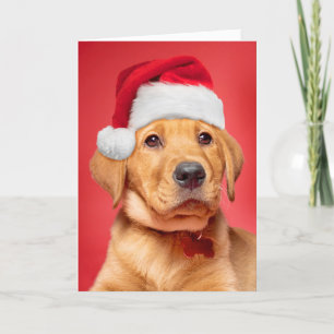 Cartes Pour Fêtes Annuelles Joyeux Noël mignonne Labrador Chiot à Santa Hat
