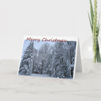 Cartes Pour Fêtes Annuelles Joyeux Noël, Neige Dans Les Arbres
