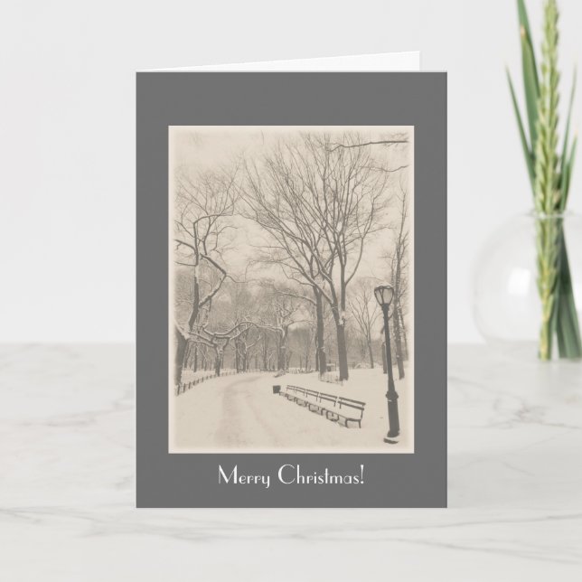 Cartes Pour Fêtes Annuelles Joyeux Noël - New York Central Park (Devant)