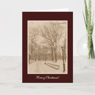Cartes Pour Fêtes Annuelles Joyeux Noël - New York Central Park Neige