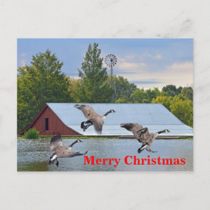 Cartes Pour Fêtes Annuelles Joyeux Noël Oies Du Canada Atterrissant Sur L'Étan