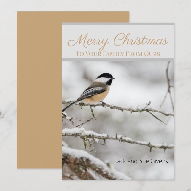 Cartes Pour Fêtes Annuelles Joyeux Noël Oiseau d'Hiver Personnalisé  (Devant / Derrière)