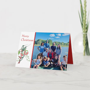 Cartes Pour Fêtes Annuelles Joyeux Noël Oiseaux Vintage Photo de Votre Famille