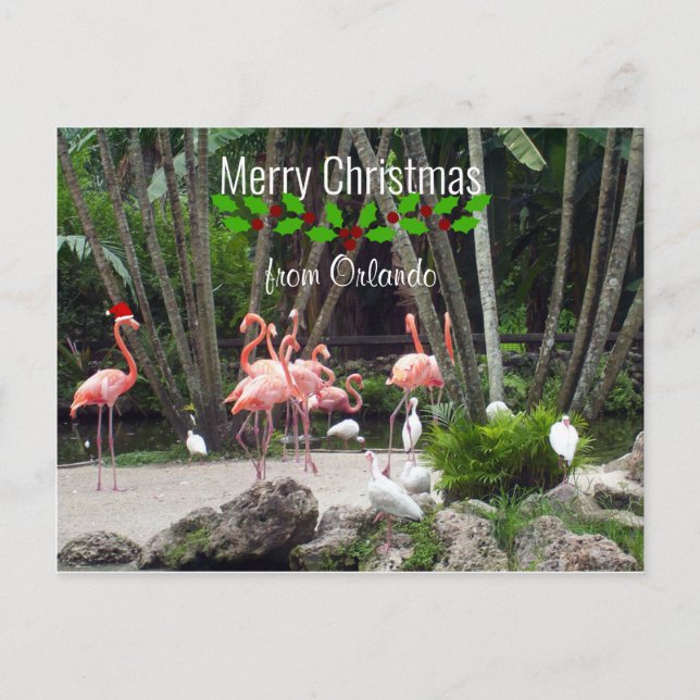 Cartes Pour Fêtes Annuelles Joyeux Noël Orlando - Flamants roses roses (Devant)